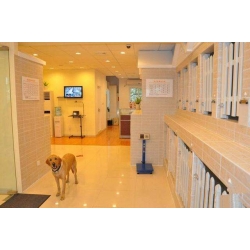 犬只類寄養(yǎng)